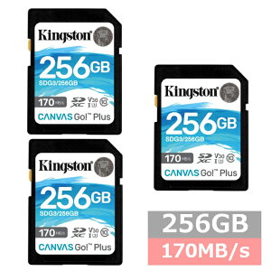 yX[p[SALE P5{z y3Zbgz LOXg SDJ[h SDXC SDG3 256GB Canvas Go! Plus SDkingston SDXCJ[h Class10 UHS-I U3/V30 J fWJ rfIJ p\R sAi