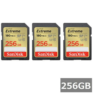 y}\ P5{z y3Zbgz TfBXN SDJ[h SDXC SDSDXVV-256G-GNCIN Extreme 256GB Sandisk SDXCJ[h SD Class10 UHS-I J fWJ rfIJ p\R sAi