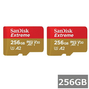 �y2�Z�b�g�z �T���f�B�X�N �}�C�N��SD MicroSDXC SDSQXAV-256G-GN6MN Extreme 256GB Sandisk �}�C�N��SDXC�J�[�h microSD�J�[�h Class10 UHS-I �J���� �X�}�z ���s�A���i