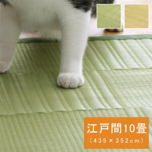 y}\ P5{z O 􂦂 J[ybg { Y R hL L AEghA W[ ~ a Vv O[ ]ˊ 10 435×352cm