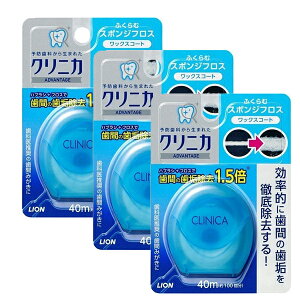 yX[p[SALE P5{z y3Zbgz NjJ Ahoe[W X|W tX 40m tX f^tX  ݂͂ AQO    f^PA CI lion \h C 