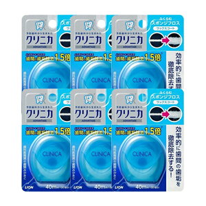 y6Zbgz NjJ Ahoe[W X|W tX 40m tX f^tX  ݂͂ AQO    f^PA CI lion \h C ΍  bNX ~