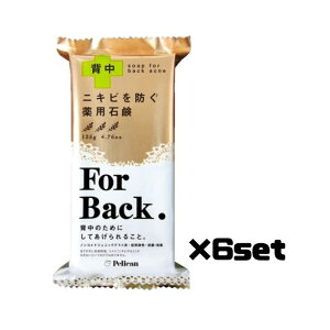 y6ZbgzyJΌ pΌ ForBack 135g΂ Ō` tH[obN  Y p[cPA { e yJ Pelican 򕔊Oi