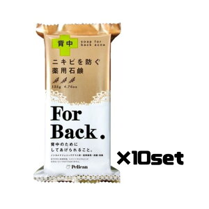 y10ZbgzyJΌ pΌ ForBack 135g΂ Ō` tH[obN  Y p[cPA { e yJ Pelican 򕔊Oi