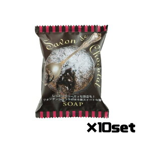 �y�労�Ӓ�P5�{!�z �y10�Z�b�g�z �y���J���Ό� �T�{���h�V���R���\�[�v �Ό� 80g �Ō` �������� �΂��� �����t�� �X�C�[�g�ȍ��� �X�L���P�A �����C ���{�� �y���J�� Pelican