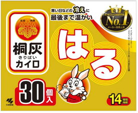 【2セット】 桐灰 カイロ はる 30個入 きりばい おすすめカイロ 貼るタイプ 箱入り 14時間持続 セット商品 おうち時間 在宅ワーク 防寒対策 省エネ 定番 寒さ対策 野外 キャンプ アウトドア 防寒 電気代節約 使い捨てカイロ