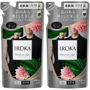�y�}���\���� P5�{�z �y2�Z�b�g�z IROKA �n���T�����[�t �߂����p 440ml �t���A�t���O�����X �t���O�����X �_��� �l�ւ� ��i �_��d�グ�� iroka ���납 ���� ��� �h�L �j�I�C �ԉ� Kao