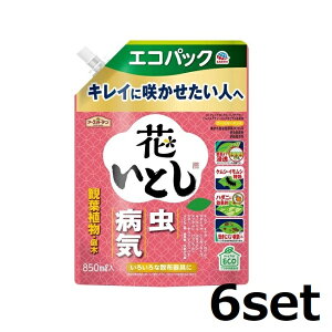 y6Zbgz A[XK[f ԂƂ GRpbN 850mL EEۍ  ϗtA  E x_  K[f PV RoG A[X