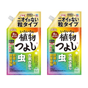 y_tf[ Si P5z y2Zbgz A[XK[f 낢ȐA悵 ^Cv 650g E  ϗtA  E x_   K[f A[X