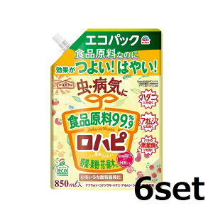 y_tf[ Si P5z y6Zbgz A[XK[f ns GRpbN 850mL EEۍ  ϗtA  E x_  K[f n_j AIV A[X