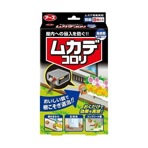 A[X JfR iŉa܁j e^Cv 8 Jf 쏜 E O  x_  A[X