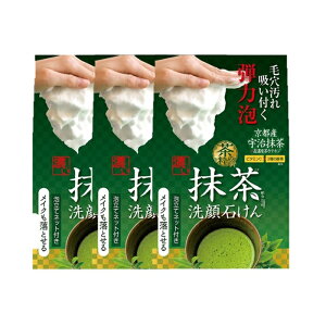 y3Zbgz ̐ Z΂M 100gΌ NWO Aălbgt CNƂ e͖A Y tz ̍ Z COSMETEX ROLAND RXebNX[h