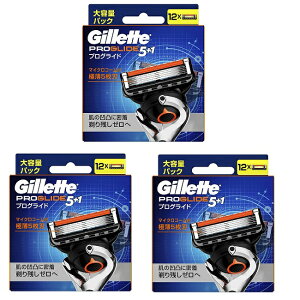 y3Zbgz Wbg vOCh ֐n 12 5n J~\ 䓁 ֐n E Ђ ݂ _ Y TJ~\ j Y Gillette