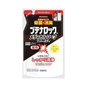 ySiP5{z ueibN fBJ\[v tbg{fB l֗p 250ml \[v t L E t VgX̍ lߑւ v Hisamitsu 򕔊Oi