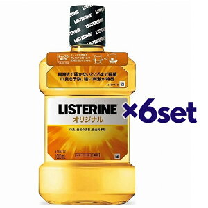 yX[p[SALE P5{z y6Zbgz pXe IWi 1000ml }EXEHbV ݂͂ L\h t AR[ E L LISTERINE W\GhW\ Zbgi Xg