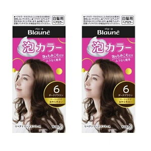 【2セット】 ブローネ 泡カラー 6 ダークブラウン 白髪染め カラーリング 染粉 泡 根元 生え際 分け目 ブラウン 茶色 自然 女性 簡単 ワンプッシュ 根元 ブロッキング不要 トリートメント付き