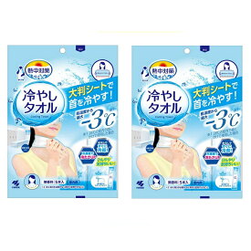 【2セット】 熱中対策 冷やしタオル 5枚入り タオル 大判 ひんやり 暑さ対策 大判シート 涼しい ふき取り 汗 首 アウトドア 公園 子供 小林製薬