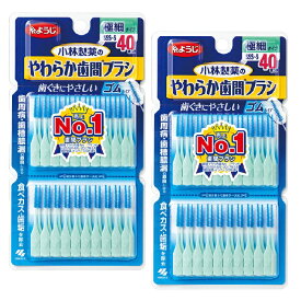 【2セット】 やわらか 歯間ブラシ SSS-Sサイズ 40本入 オーラルケア 歯間ブラシ 歯垢 歯間の汚れ やわらかい 奥歯 極細 歯ぐき 歯間清掃具 おすすめ 小林製薬