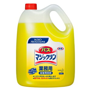 ԉ oX}WbN Ɩp 4.5L   oX C    AJ lߑւ l   ʊ CX K { KAO