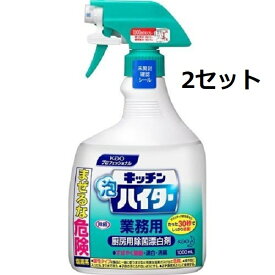 【2セット】 花王 キッチン泡ハイター 業務用 1000ml 台所用漂白剤 キッチン 台所 厨房 カフェ まな板 包丁 黒ずみ 食器 除菌 漂白 消臭 介護施設 ホテル スプレータイプ KAO