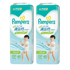 �y2�Z�b�g�z �p���p�[�X �ʋC���v���X �p���c �r�b�O�T�C�Y 40������ pampers ���ނ� �p���c ���I���c �Ԃ���� �M�t�g ���蕨 �z���� �l�C �����L���O P&G