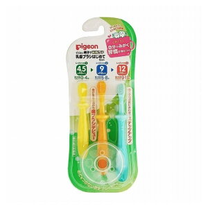 sW uV ͂߂ăZbg xr[uV V Ԃ xr[pi pigeon