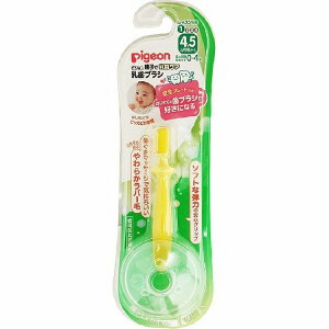 yX[p[SALE P5{z y2Zbgz sW uV bXiK1×2Zbg xr[uV V Ԃ xr[pi pigeon