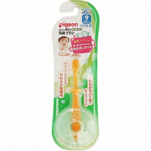 y_tf[ Si P5z sW uV bXiK2 xr[uV V Ԃ xr[pi pigeon