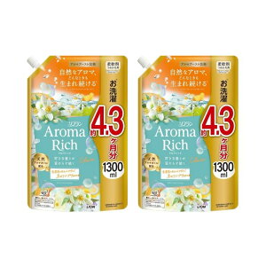 y2Zbgz \t A}b` NA ߂p 1300ml_ lւ    hL jIC LION CI