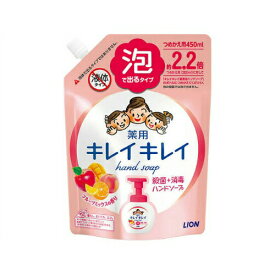 【2個セット】 キレイキレイ 薬用泡ハンドソープ フルーツミックスの香り つめかえ用 450ml×2セット 詰替え ハンドソープ ハンドウォッシュ 泡 泡タイプ 殺菌 消毒 ソープ LION ライオン 医薬部外品