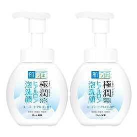 【2セット】 ロート 肌ラボ 極潤 ヒアルロン 泡洗顔 160ml ロート製薬 ROHTO ハダラボ 洗顔料 泡 スーパーヒアルロン酸 潤い もっちり 乾燥 乾燥肌 混合肌 クレンジング メイク落とし ワセリン