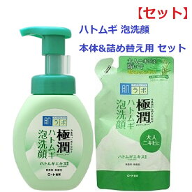 【セット】 肌ラボ 極潤 ハトムギ 泡洗顔 160ml & つめかえ用 140ml ロート製薬 ROHTO ハダラボ 洗顔料 泡 ヒアルロン酸 潤い もっちり 乾燥 乾燥肌 混合肌 クレンジング メイク落とし スクワラン ハトムギエキス セット商品 詰替え 詰め替え