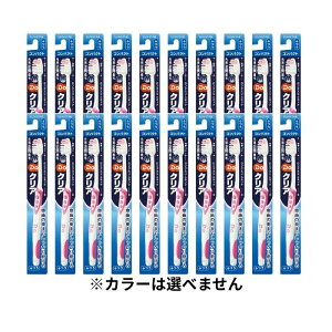 yubNtCf[ P5{z y20Zbgz Do NAnuVRpNgwbh ӂ uV DONA ݂͂ 炩 L\h L G`Pbg f^PA TX^[