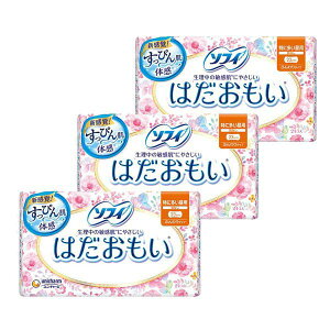 y3Zbgz \tB ͂ ɑp 23cm HȂ 24 ivL p p  pi jE`[  R \ʃTT  23cm z H 炳犴