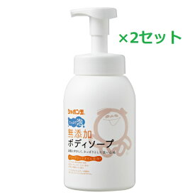 【2セット】 シャボン玉石けん 無添加ボディソープたっぷり 泡ボトル 570ml 泡 ボディーソープ ボディウォッシュ ボディケア スキンケア 体 無添加 低刺激 子供 日本製 美容 シャボン玉 せっけん