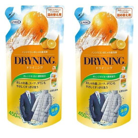 【2セット】 ドライニング 液体タイプ 詰め替え用 450mL 洗剤 洋服 液体 洗濯 洗濯用洗剤 ドライクリーニング ドライマーク ホームクリーニング つけおき洗 シームレスダウン オレンジオイル シミ 汚れ 詰替