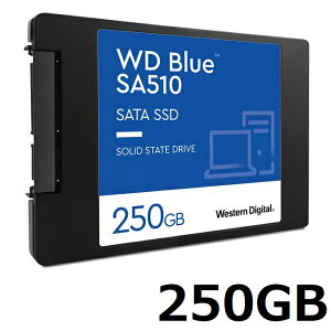 【マラソン中 P5倍】 SSD 250GB Western Digital WD BLUE 250GB WDS250G3B0A ウエスタンデジタル