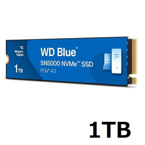 SSD 1TB Western Digital WD BLUE 1TB WDS100T4B0E EGX^fW^