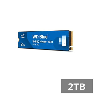 Western Digital SSD 2TB WD BLUE WDS200T3B0E EGX^fW^ PC p\R Ɩ M.2 2280 sAi