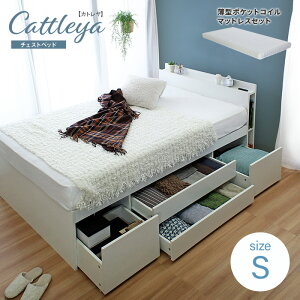 ySiP5{z }bgXZbg It e o[xbh ^}bgX CattleyayJgz VO