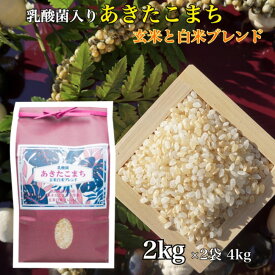 【9日までP3倍】 【2セット】 乳酸菌 あきたこまち 一等米 玄米白米ブレンド 2kg お米 白米 玄米 ブレンド米 ごはん 国産米 秋田 アキタコマチ プレゼント ギフト 贈り物