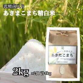 【9日までP3倍】 【2セット】 あきたこまち 一等米 白米 2kg 精米 お米 ごはん 国産米 秋田 アキタコマチ 健康 プレゼント ギフト 贈り物 農家直送