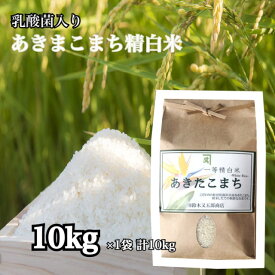 あきたこまち 一等米 白米 10kg 精米 お米 ごはん 国産米 秋田 アキタコマチ 健康 プレゼント ギフト 贈り物 農家直送
