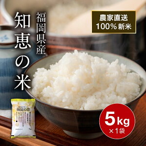 y_tf[ Si P5z ߘa7NY V  5kg  mb̕ C    _ƒ ͂ Y Y H ѐ ɂ v[g Mtg 蕨