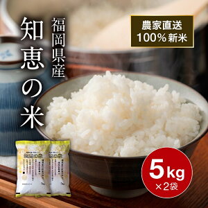 y_tf[ Si P5z  10kg ߘa7NY V  mb̕ C    _ƒ ͂ Y Y H ѐ ɂ v[g Mtg 蕨