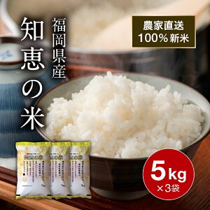 y_tf[ Si P5z _ƒ V ߘa7NY  15kg  mb̕ C    ͂ Y Y H ѐ ɂ v[g Mtg 蕨