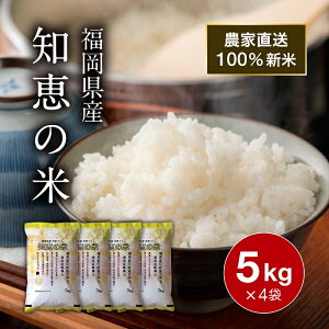  C 20kg ߘa7NY V  mb̕    _ƒ ͂ Y Y H ѐ ɂ v[g Mtg 蕨