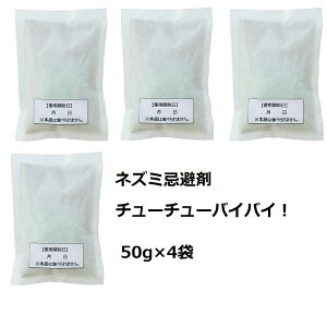 yX[p[SALE P5{z lY~ `[`[oCoCI   ˂ 쏜 VR n[u  ΍ C_C ΂΂