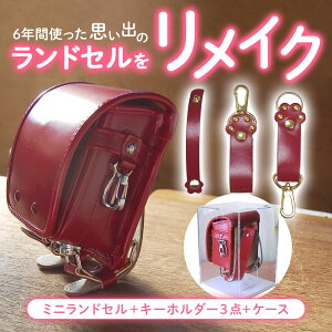 32N̎ hZ CNy   zvo ~jhZ P[Xt L L[O 3_ Zbg  LO AE j  v[g ~j`A H[ ݂ɂǂ mini