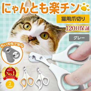 L ܐ؂ L̒ܐ؂ ybg ybgpܐ؂ Lpܐ؂ ObY \  M` lR ېn